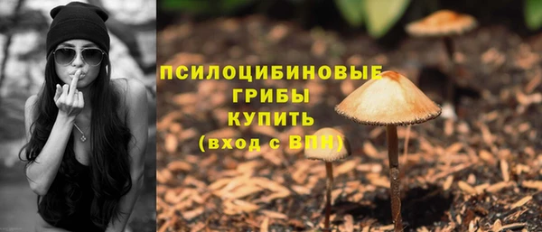 2c-b Аркадак