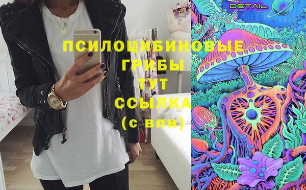 2c-b Аркадак