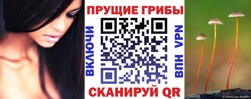 Галлюциногенные грибы Psilocybine cubensis Соль-Илецк